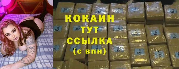 тгк Пестово