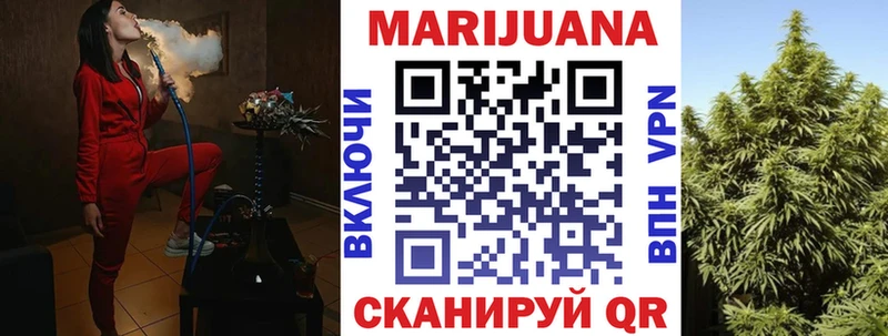 Купить закладки  Хотьково  Бошки марихуана сатива 